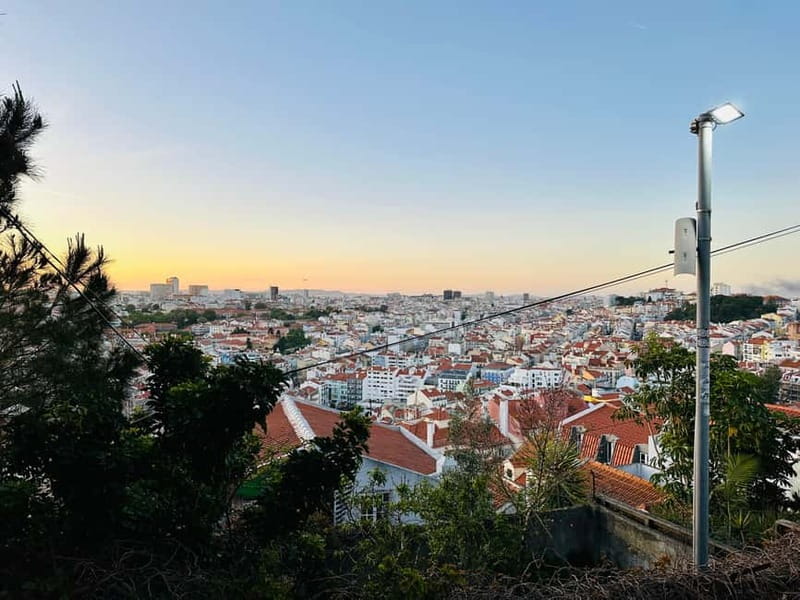 Lisbon Tuk Tuk Tour 1 Hour 30 Min - Museu do Fado and Sophia - Natural Italian Pickup and Drop-Off