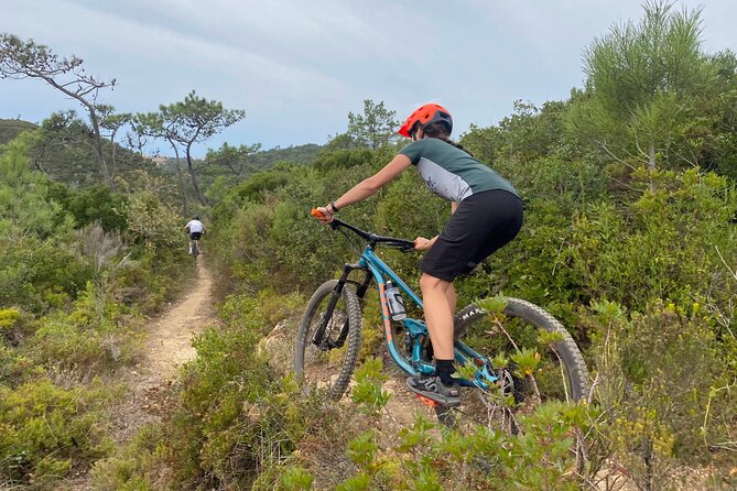 Lizandro Trails - Mountain Biking - Lizandro Trails quick hits