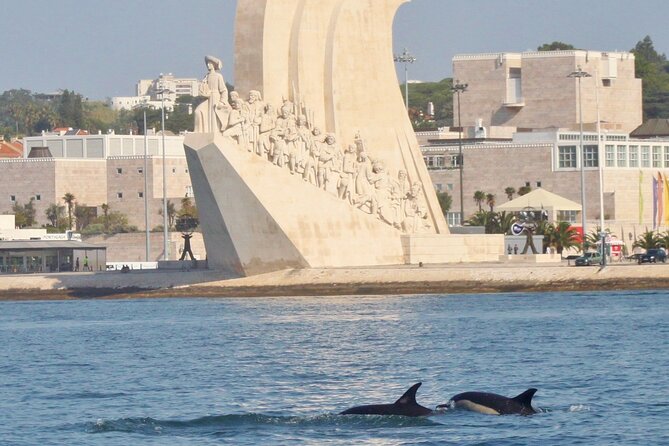 Meet the Lisbon Dolphins - Dolphin Watching in Lisbon - Key Things I’d Plan Around