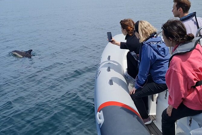 Meet the Lisbon Dolphins - Dolphin Watching in Lisbon - Monument Passes: Belem, Discoveries, and the View From the Water