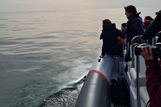 Meet the Lisbon Dolphins - Dolphin Watching in Lisbon - Practical Tips for Cold Water, Sunscreen, and Holding On
