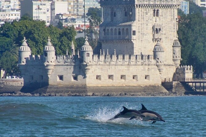 Meet the Lisbon Dolphins - Dolphin Watching in Lisbon - Who Should Book This Dolphin Watching Tour