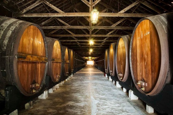 Nature, Wines and Ceramic Tiles: Private Tour - Why this Lisbon day trip feels different from “just driving around”
