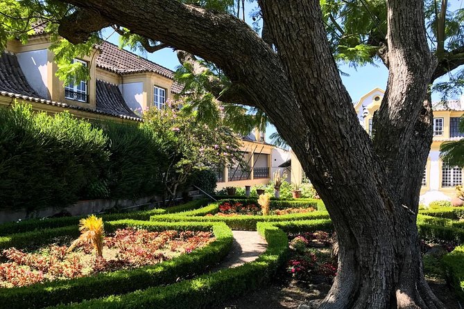 Nature, Wines and Ceramic Tiles: Private Tour - Casa das Tortas and Azeitão pie: the dessert stop you will remember