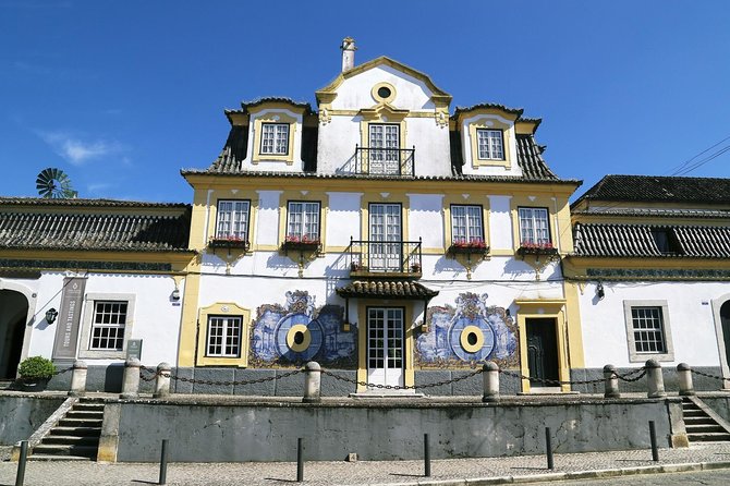 Nature, Wines and Ceramic Tiles: Private Tour - Getting the most out of the 8-hour itinerary