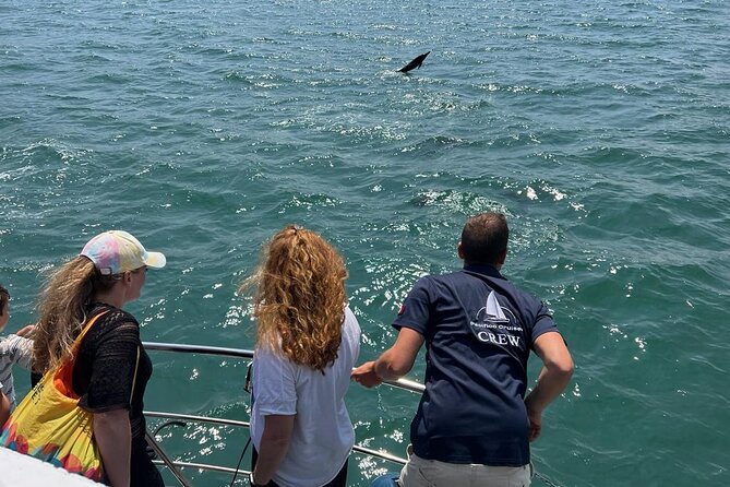 Panoramic Boat Tour with Drinks and Music - Boat size, seating comfort, and your best spot on deck