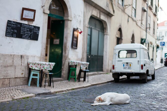 Photography Workshop-Tour in Alfama - Lisbon - If your group keeps going: Baixa landings like Praça do Comércio and Rossio
