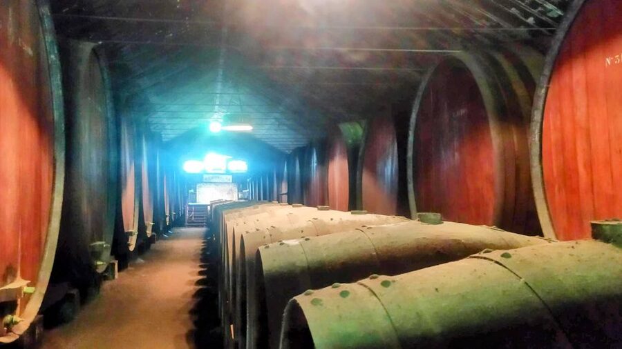 Portuguese Wine History & Amazing Landscape - Palmela Castle: Moorish roots and river views you can actually point at