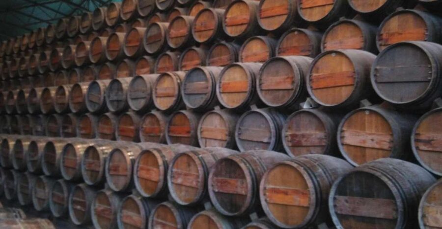 Portuguese Wine History & Amazing Landscape - Palmela village and the Moscato stop: tasting with context, not pressure