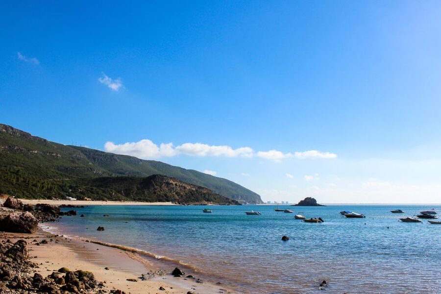 Portuguese Wine History & Amazing Landscape - Arrábida National Park and Portinho Beach: the spring reset