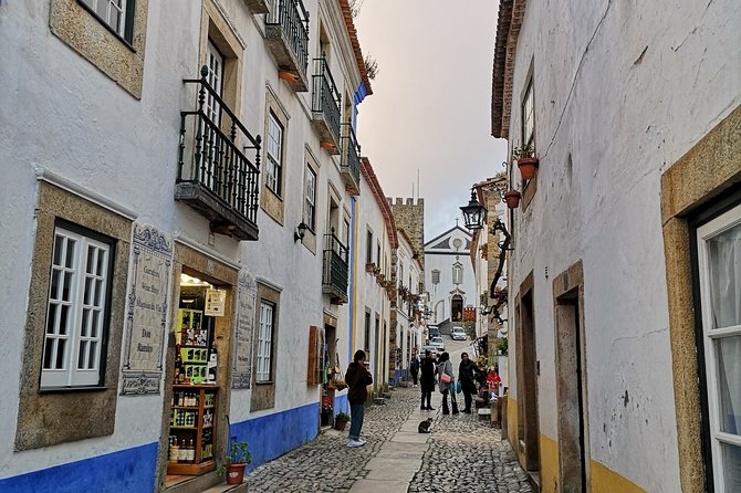 Private Experience Óbidos Nazaré and Fátima or Aveiro and Óbidos - Aveiro: canals, Portuguese Venice vibes, and pastries you can grab on the move