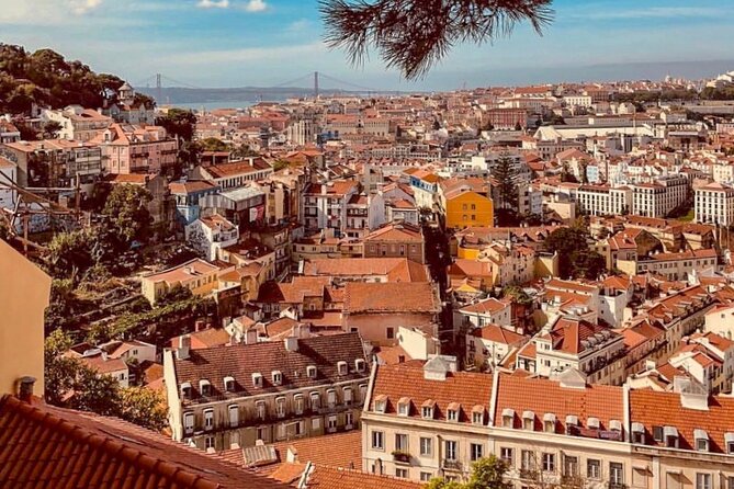 Private Food and Wine Tour: From Street to Gourmet - Should you book this From Street to Gourmet tour?