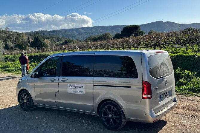 Private Full-Day Wine Tour from Lisbon with Tastings - Quinta do Alcube: vineyards with sea-and-mountain character