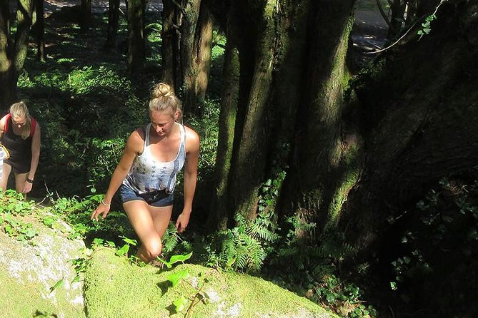 Private Guided Hike in Sintra-Cascais National Park, Lisbon - Who should book this private coast hike, and who should skip it