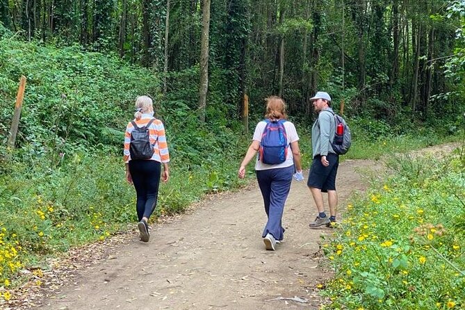 Private Half Day Hiking in Sintra-Cascais Natural Park - Key Things That Make This Hike Worth Your Time