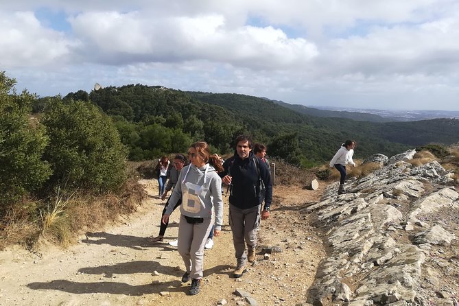 Private Half Day Hiking in Sintra-Cascais Natural Park - How the 9:00 Start Fits Sintra-Cascais Views