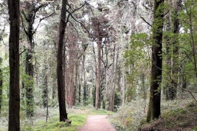 Private Half Day Hiking in Sintra-Cascais Natural Park