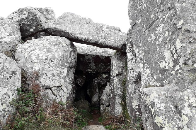Private Half Day Hiking in Sintra-Cascais Natural Park - The Guide Factor, Including Plant Life and Cork Connections