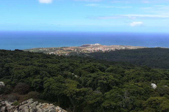 Private Half Day Hiking in Sintra-Cascais Natural Park - What to Wear, Bring, and Expect on Rugged Park Trails
