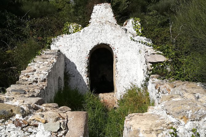 Private Half Day Hiking in Sintra-Cascais Natural Park - Price and Value: Is $204.26 Fair for a Private Half-Day?