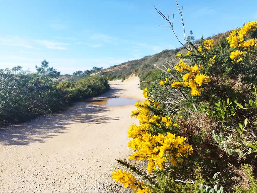 Private Jeep tour to Espichel Mysteries and Wild Beaches - How a private Jeep route changes the Cabo Espichel day