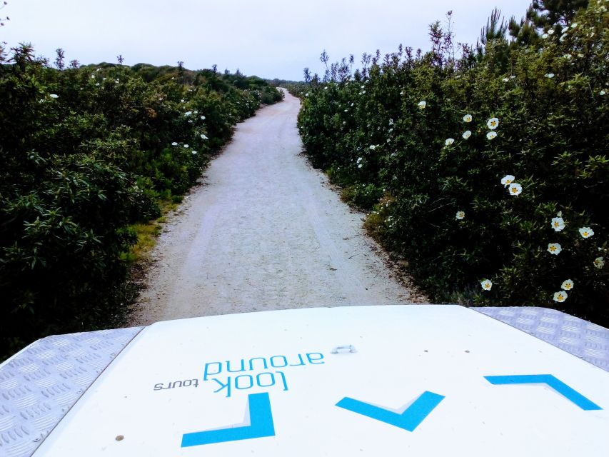 Private Jeep tour to Espichel Mysteries and Wild Beaches - Hell Beach hike: the remote payoff, if your feet cooperate