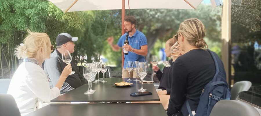 Private Lisbon Arrábida Wine Tour: Culture, Scenery & Wines - Setúbal market time in 30 minutes: small window, good payoff