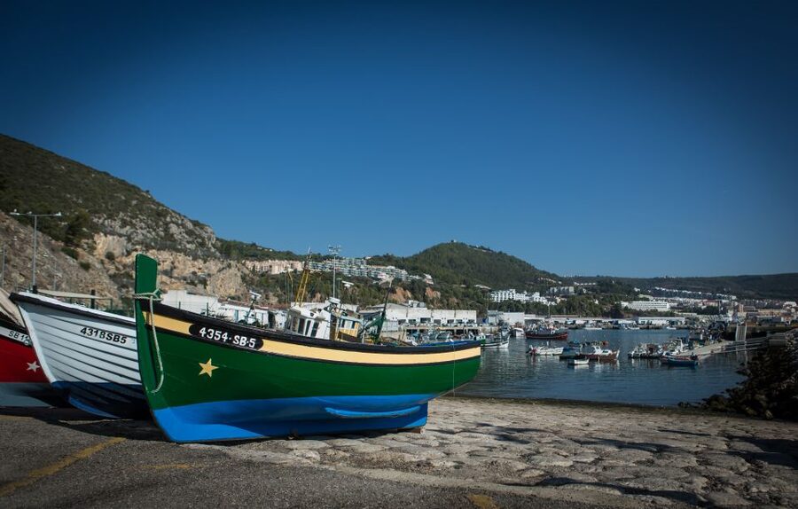 Private Lisbon Arrábida Wine Tour: Culture, Scenery & Wines - Arrábida Natural Park: ocean views plus a chance to slow down