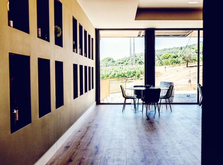 Private Lisbon Arrábida Wine Tour: Culture, Scenery & Wines - Two winery visits: how the tastings are paced for real learning