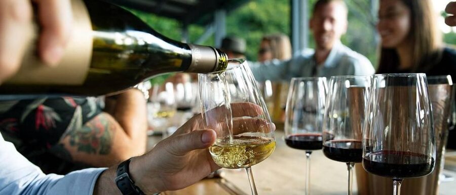 Private Lisbon Arrábida Wine Tour: Culture, Scenery & Wines - Azeitão break time, lunch timing, and a calmer mid-day reset