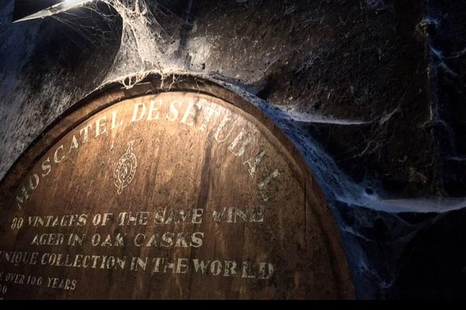 Private Lisbon Arrabida Wine Tour: Food & Wines, Mountain and Sea - Lisbon to Arrábida: why this day feels like more than wine