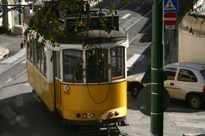 Private Lisbon Walking Tour - Timing, meeting spot, and mobile ticket details that matter