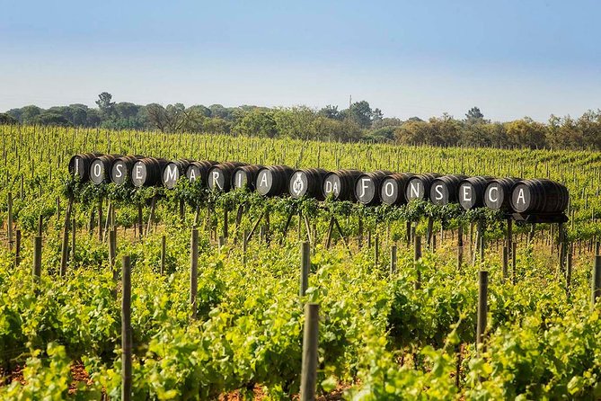 Private Lisbon wine tasting tour in the Setubal region - Price and value for a private Setúbal day trip
