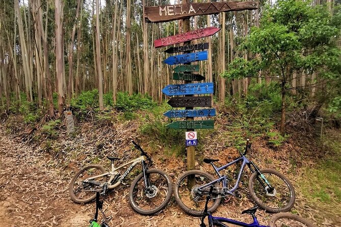 Private mountain bike tour in Lisbon/Sintra/Cascais - Where This Ride Fits In, Cascais to Serra de Sintra