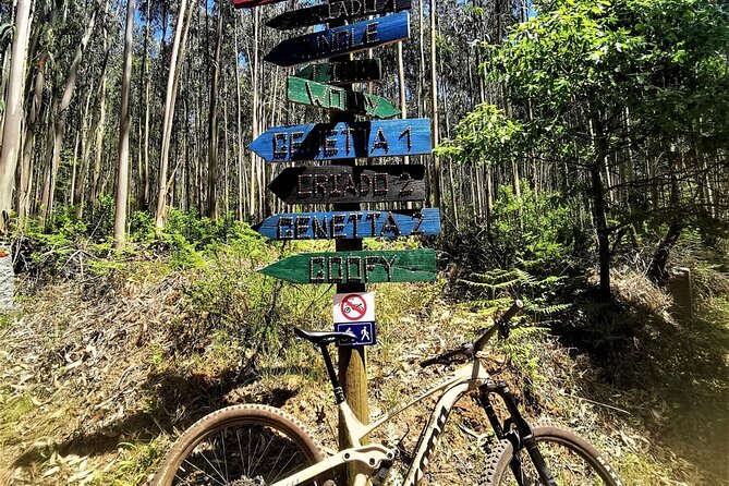 Private mountain bike tour in Lisbon/Sintra/Cascais - Bike Handling Warm-Up, Games That Build Real Confidence