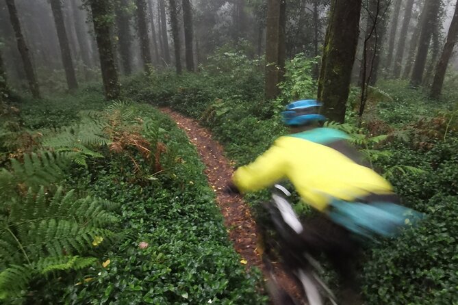 Private mountain bike tour in Lisbon/Sintra/Cascais - Climb Decision Time on Serra de Sintra, Then Choose Your Kind of Day