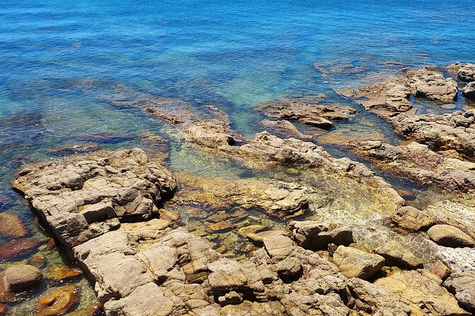 Private Open Top Coastal Tour with Coffee Included - Key highlights worth your attention