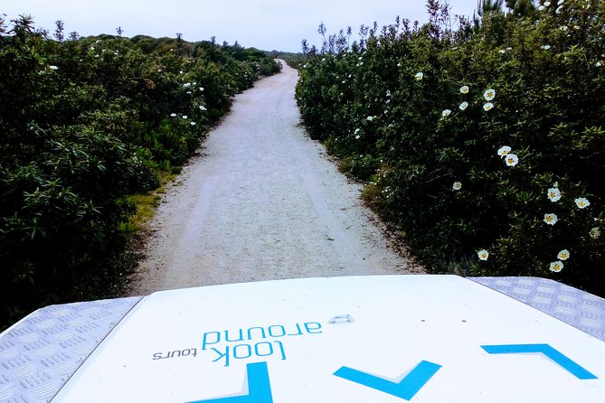 Private Safari Tour to Espichel Cape & West Coast Wild Beaches - Sesimbra’s west coast: wild waves, cliffs, and more time to breathe