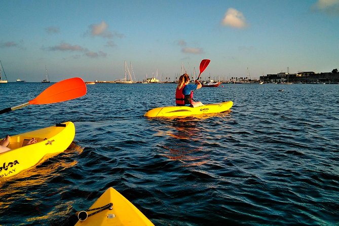 Private Sea Kayaking in Cascais, Lisbon - Beginner-Friendly, But Still a Sea Experience