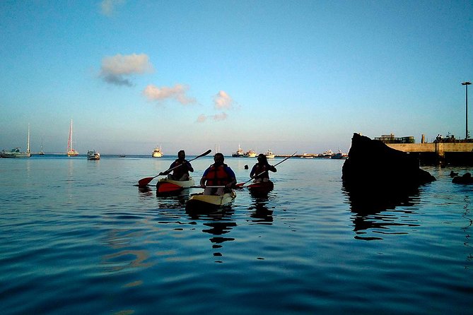 Private Sea Kayaking in Cascais, Lisbon - Price and Value: Is $138.64 Worth It?