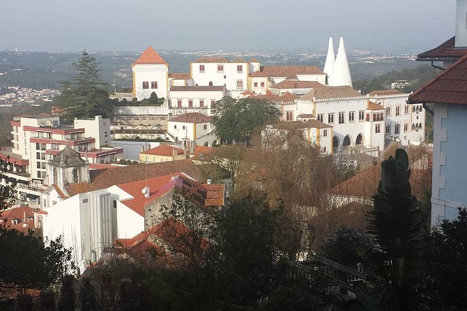 Private Sintra Day Trip from Lisbon with Wine Tasting and Monserrate Palace - Pena Palace in Short Bursts, What You’ll Get and What You’ll Miss