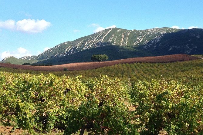 Private Tour: Arrábida Day Trip from Lisbon Including Wine Tasting - The 500-meter peak and Christ the King: big viewpoints on the way back