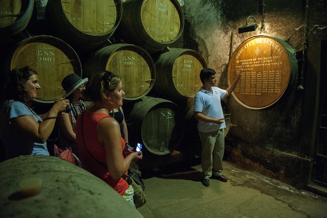 Private Tour: Arrábida Day Trip from Lisbon Including Wine Tasting - Full-day upgrade: Sesimbra beach time and Azeitao muscatel reds