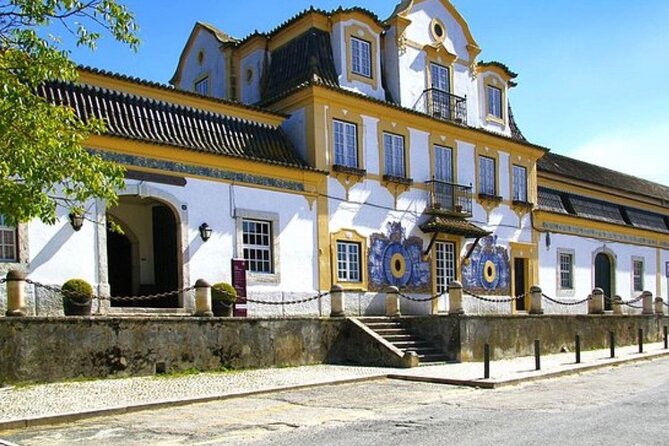 Private tour Arrábida, Sesimbra from Lisbon - Castelo de Sesimbra plus Miradouro Portinho da Arrábida