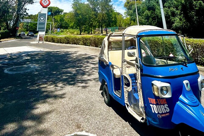 Private Tour DE Tuk Tuk Chiado and Bairro Alto in Lisbon - Basilica da Estrela: the white dome, the marble glow, the calm