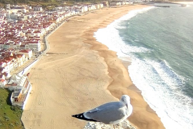 Private tour for 1 to 8 people: Fátima, Batalha, Nazaré and Óbidos - Who This Tour Fits Best (and Who Might Want a Different Plan)