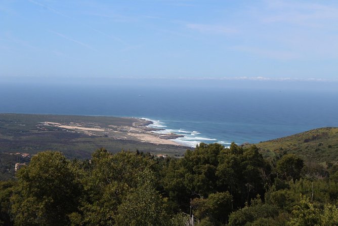 Private Tour Sintra Roca Cascais Palace Pena and Quinta Regaleira - Guide quality and pacing: the real value driver