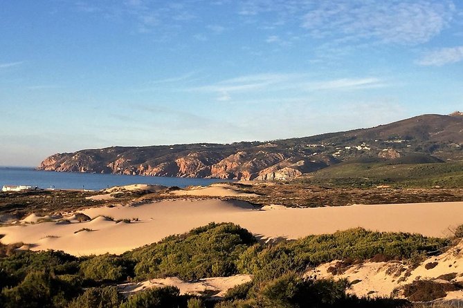 Private tour - The Beautiful Cascais - What the guide factor really changes (Pedro)