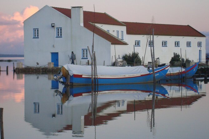 Private Tour to Arrabida with Wine and Cheese Tasting at the Mourisca Tide Mill - Mercado do Livramento: the fish market stop that actually teaches