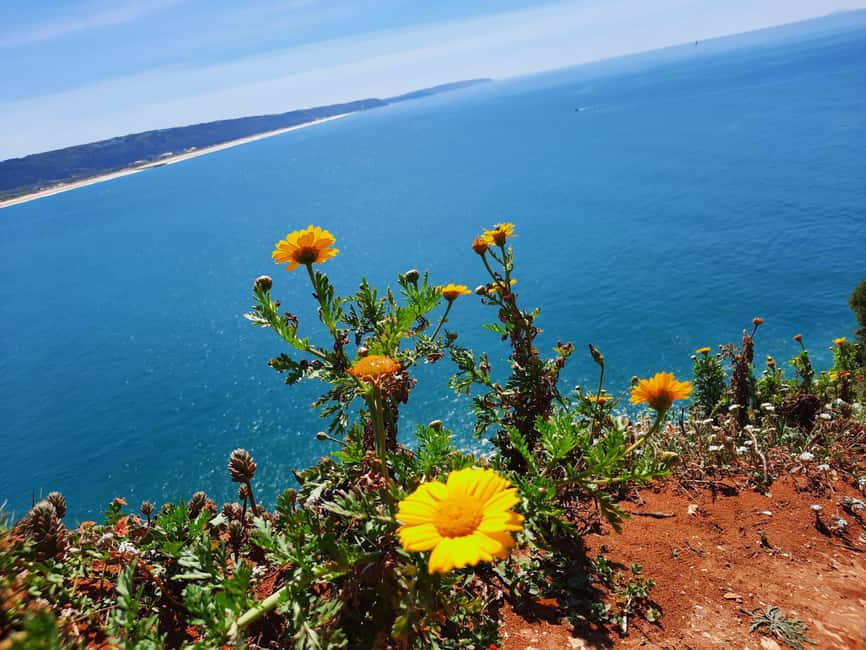 Private tour to Nazaré, Alcobaça, and Obidos from Lisbon - Off-the-beaten Atlantic panoramas, cliffs to beach